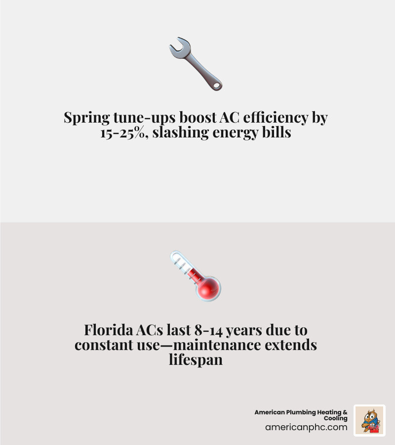 Infographic: Spring AC tune-up benefits including 15-25% efficiency boost, 8-14 year Florida system lifespan, and key Infographic: Spring AC tune-up benefits including 15-25% efficiency boost, 8-14 year Florida system lifespan, and key
