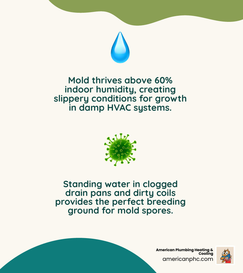 Infographic showing ideal vs. mold-prone home conditions: humidity levels, filter status, drain pan health, and airflow Infographic showing ideal vs. mold-prone home conditions: humidity levels, filter status, drain pan health, and airflow