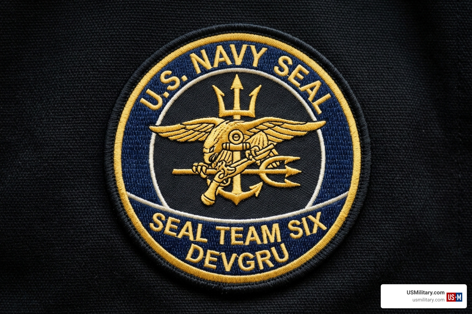 Insignia of SEAL Team Six representing the elite counter-terrorism unit - Who is Michael Thornton Navy SEAL? Insignia of SEAL Team Six representing the elite counter-terrorism unit - Who is Michael Thornton Navy SEAL?