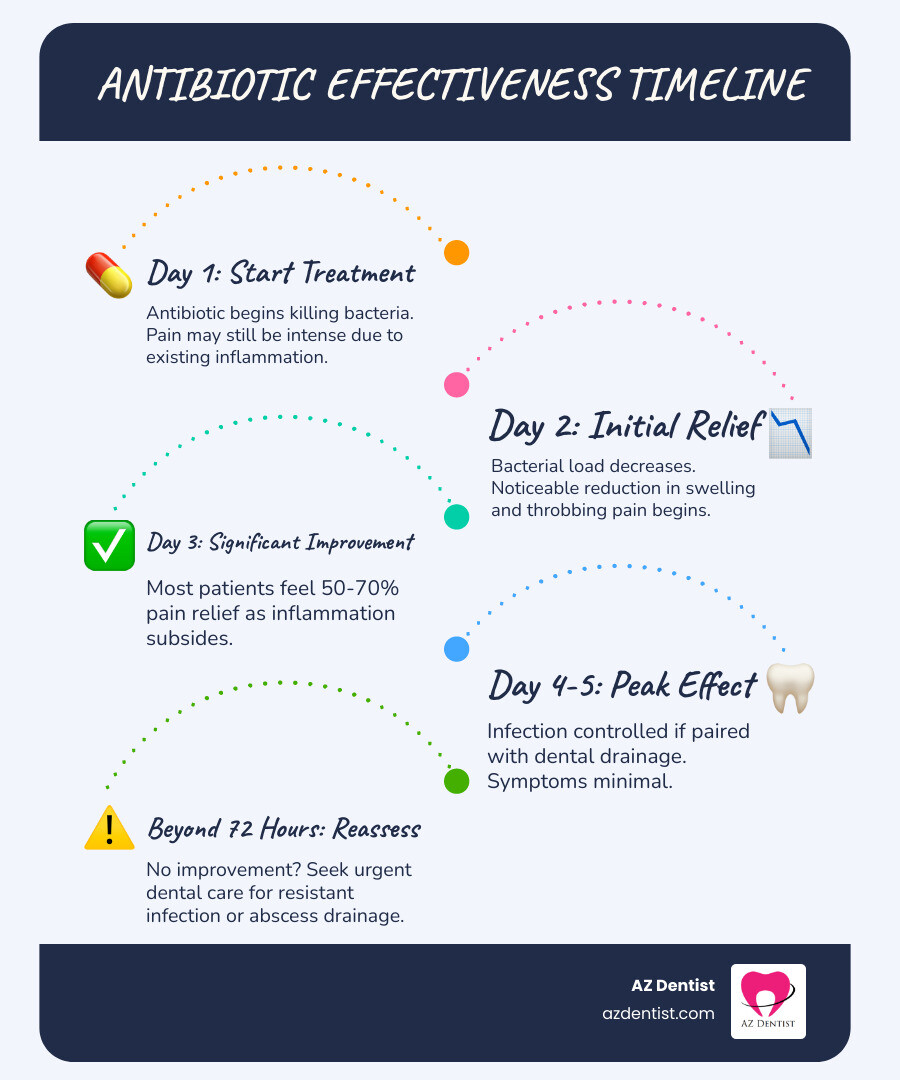 Infographic showing the timeline of antibiotic effectiveness - best antibiotic for toothache infection infographic