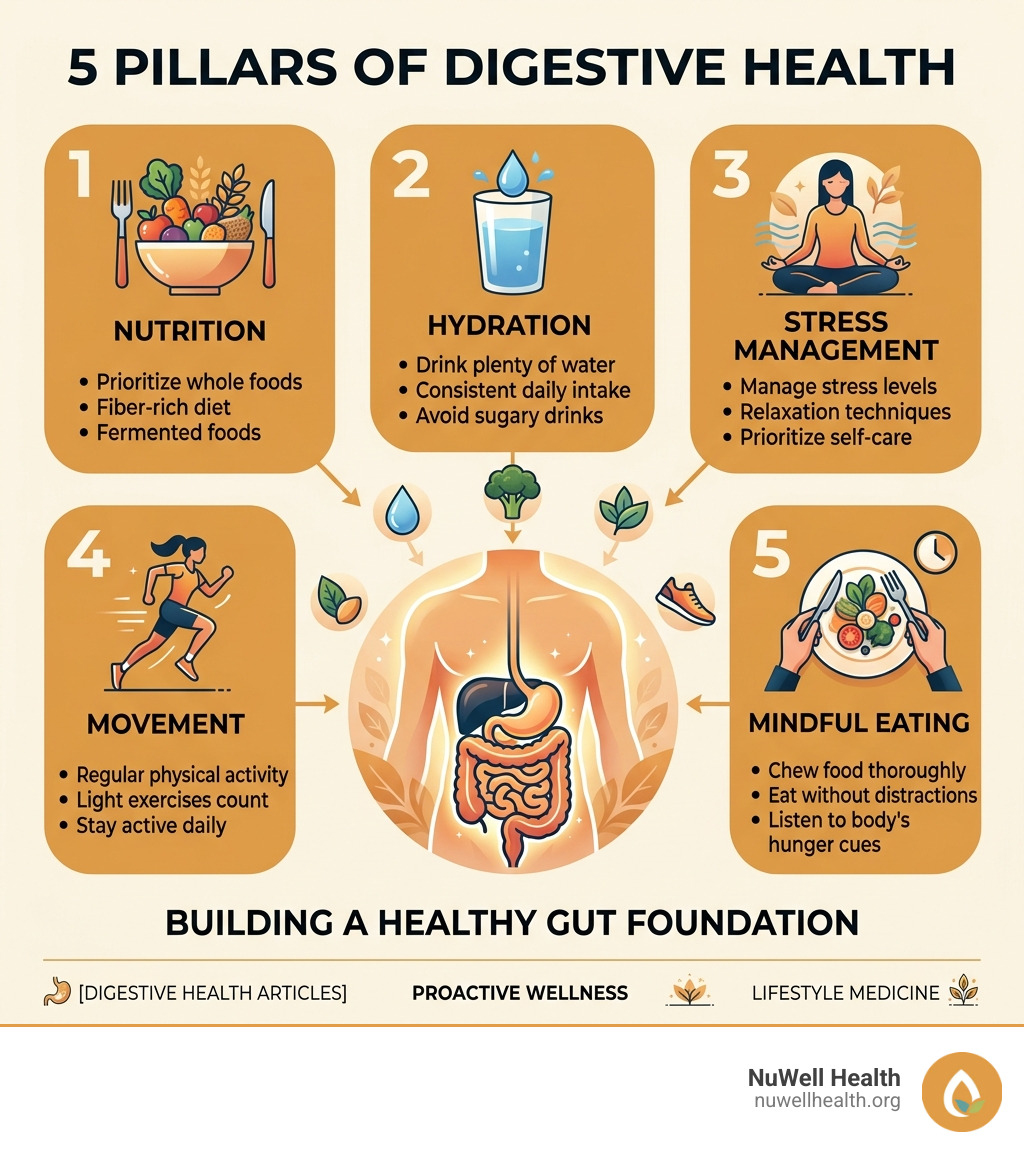 Infographic summarizing the 5 pillars of digestive health: Nutrition, Hydration, Stress Management, Movement, and Mindful Infographic summarizing the 5 pillars of digestive health: Nutrition, Hydration, Stress Management, Movement, and Mindful