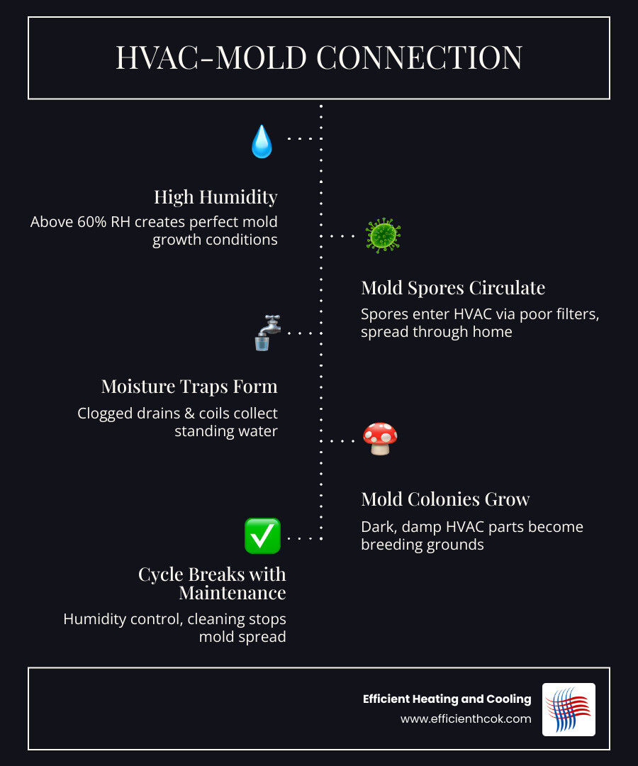 Infographic showing the HVAC-mold connection: humidity above 60% triggers mold, maintenance steps break the cycle - how Infographic showing the HVAC-mold connection: humidity above 60% triggers mold, maintenance steps break the cycle - how