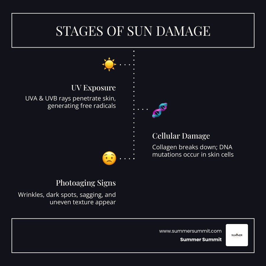 Stages of sun damage and photoaging from UV exposure to visible skin changes - best face cream to reverse sun damage Stages of sun damage and photoaging from UV exposure to visible skin changes - best face cream to reverse sun damage