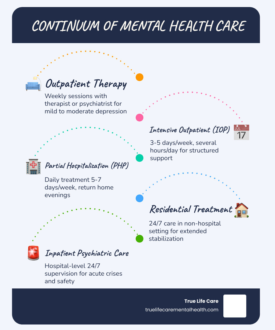Continuum of mental health care levels from outpatient to inpatient psychiatric hospitalization - inpatient psychiatric care