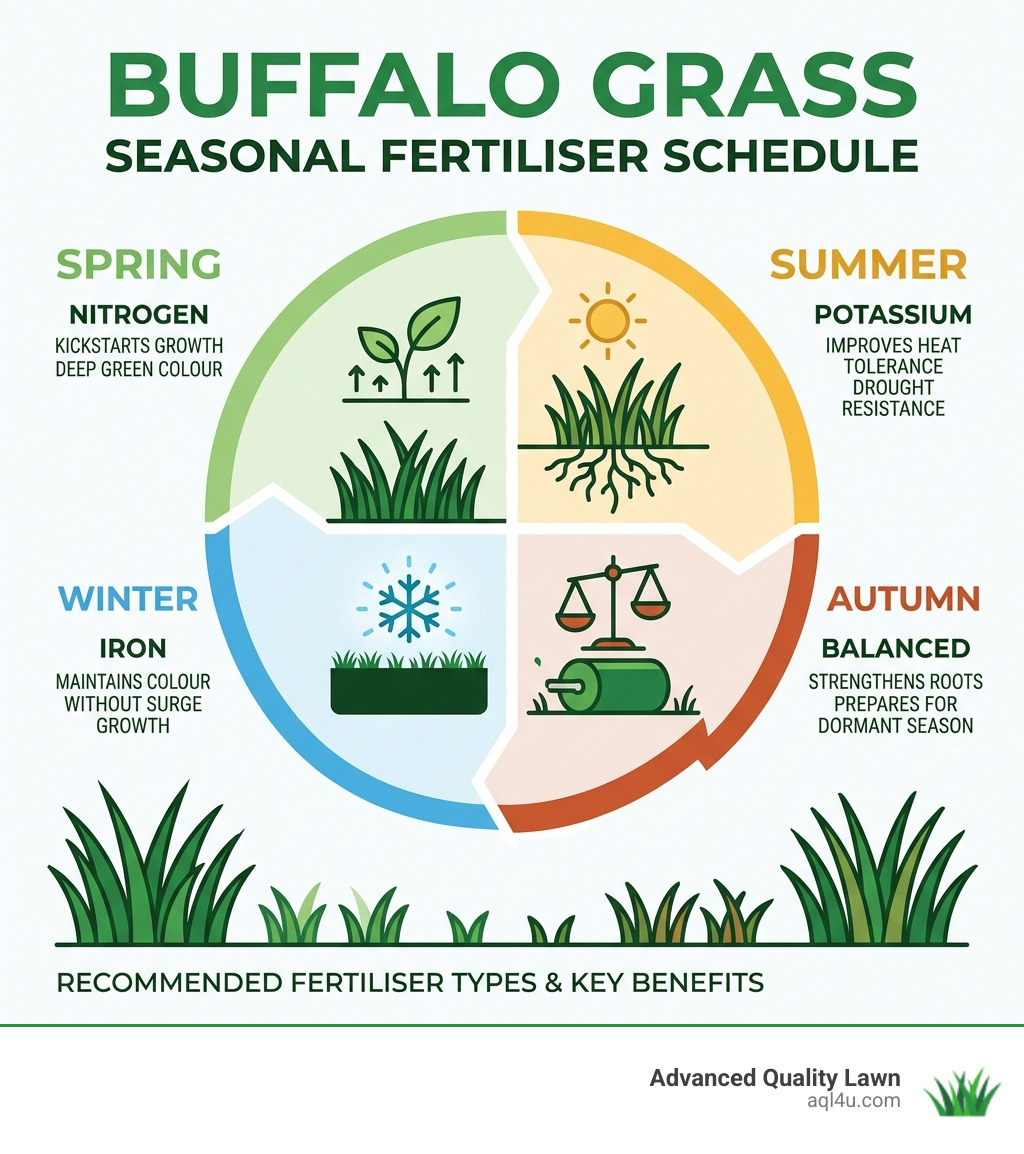 Buffalo grass fertiliser seasonal schedule infographic showing spring nitrogen, summer potassium, autumn balanced, winter