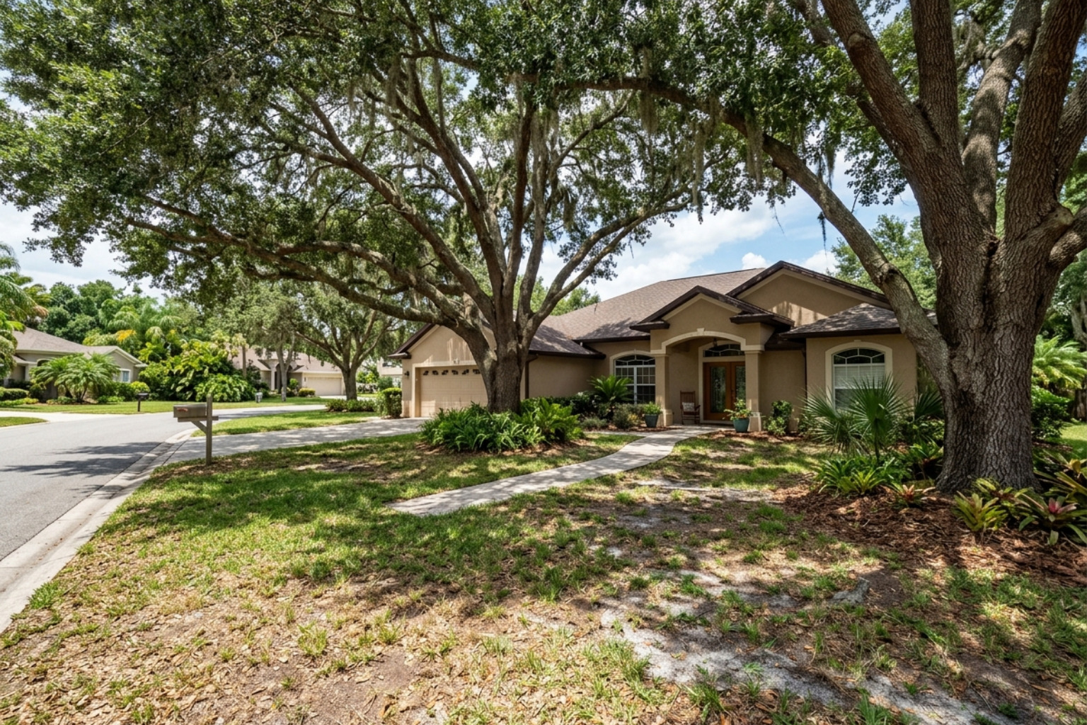 Mature Live Oaks in a residential yard providing heavy shade - HOA compliant Lutz lawns Mature Live Oaks in a residential yard providing heavy shade - HOA compliant Lutz lawns