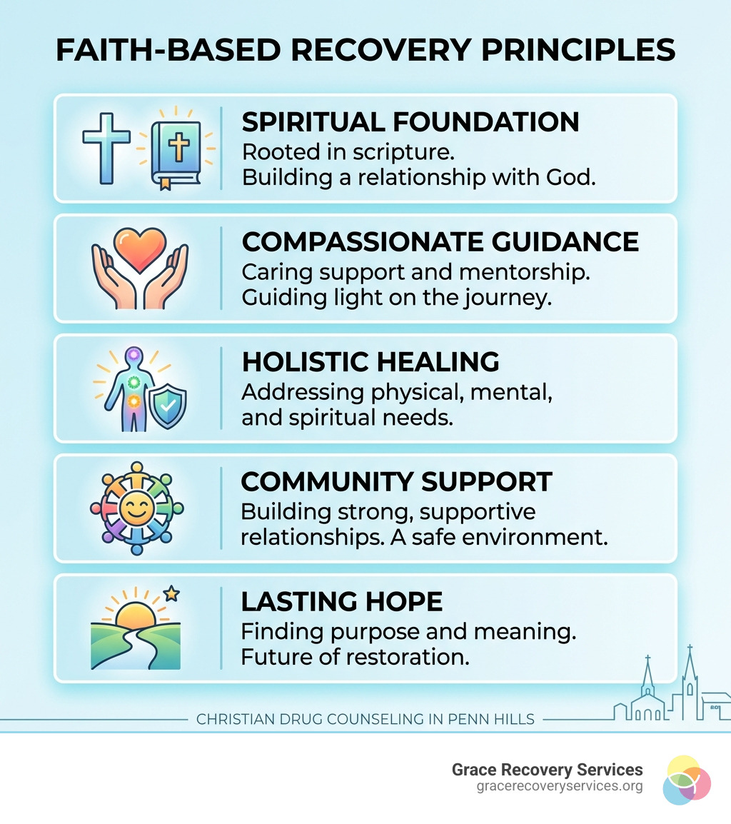 Infographic summarizing the Grace Recovery approach: Compassion, Clinical Excellence, and Christ-centered healing