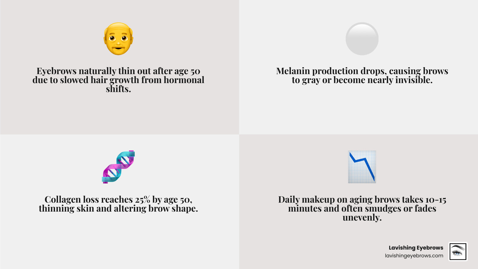 Infographic showing eyebrow aging process: collagen loss by 50, hair thinning, graying, and shape loss by decade - eyebrow