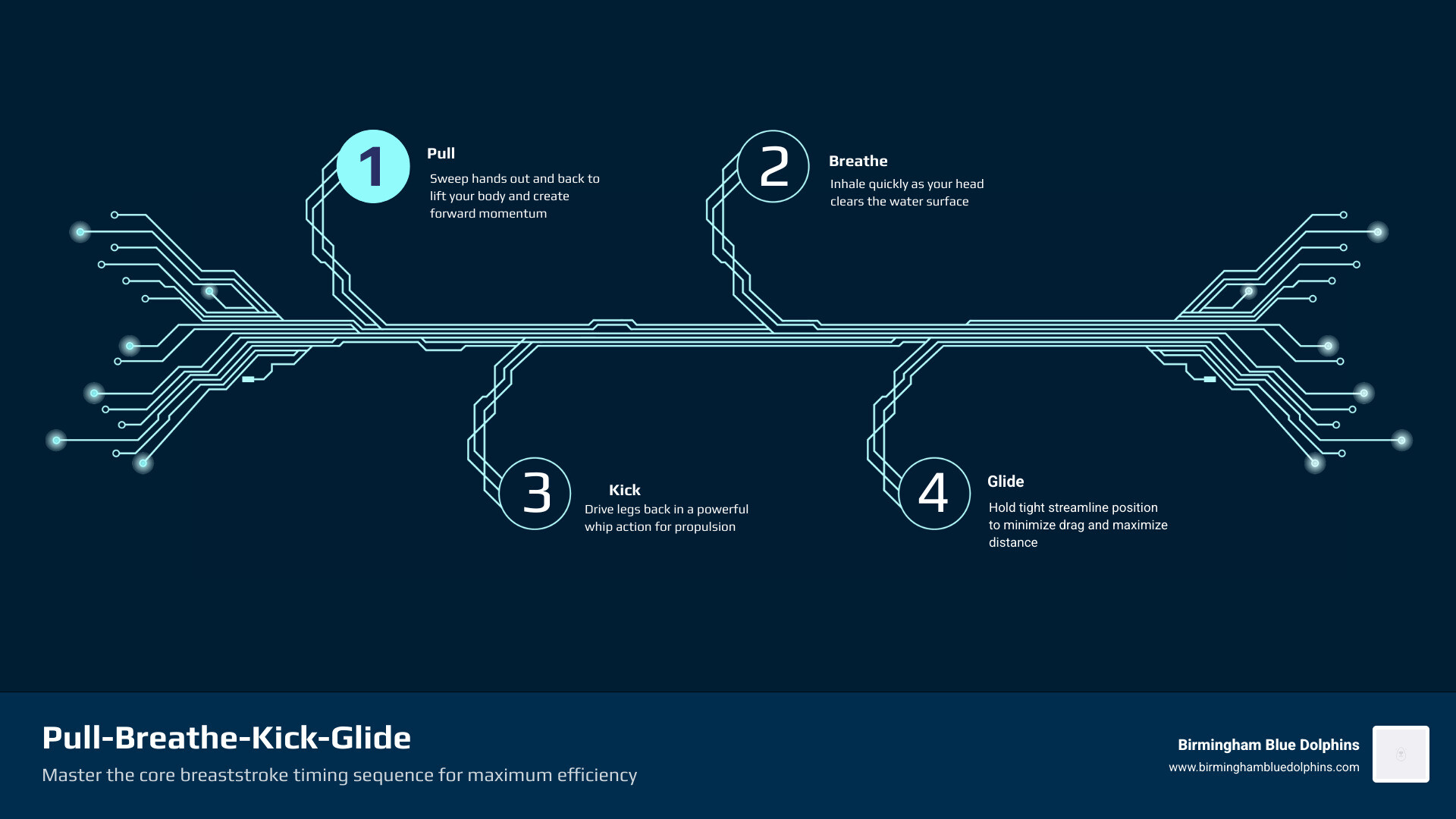 Pull-breathe-kick-glide cycle in breaststroke with glide duration and sequence cues - breaststroke timing and glide Pull-breathe-kick-glide cycle in breaststroke with glide duration and sequence cues - breaststroke timing and glide