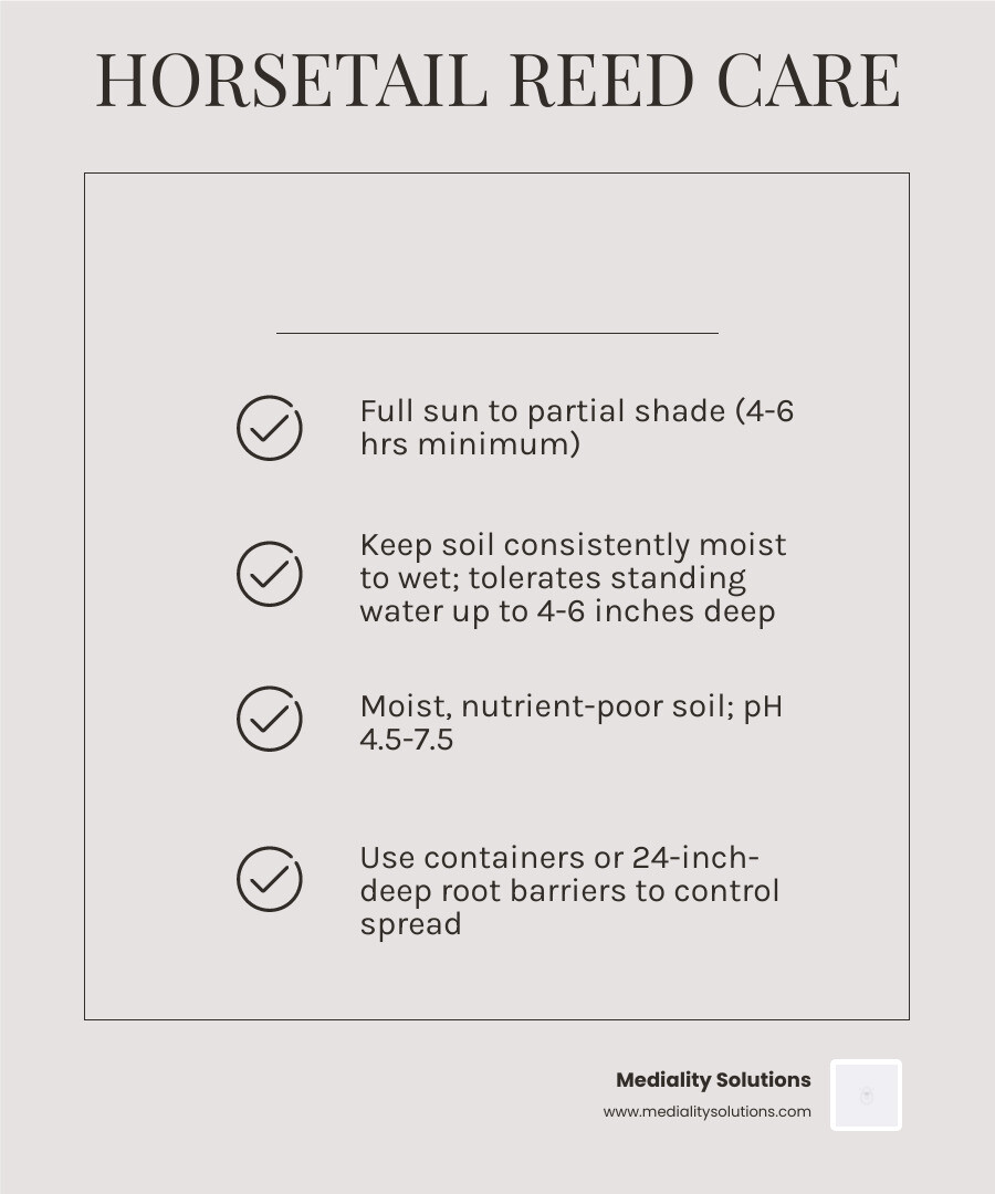 Horsetail reed care quick guide infographic with light, water, soil, zones, and containment tips - horsetail reed care