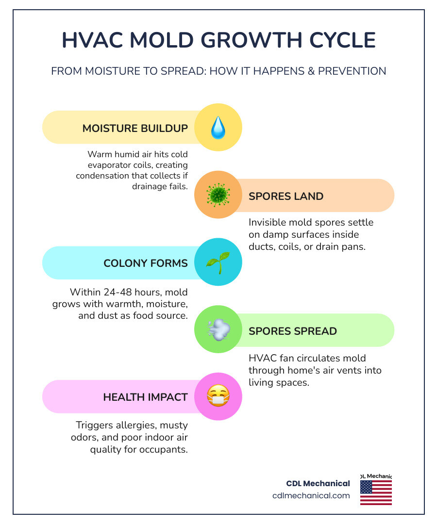 Infographic showing the HVAC mold growth cycle from moisture buildup to spore circulation and prevention steps - how proper Infographic showing the HVAC mold growth cycle from moisture buildup to spore circulation and prevention steps - how proper