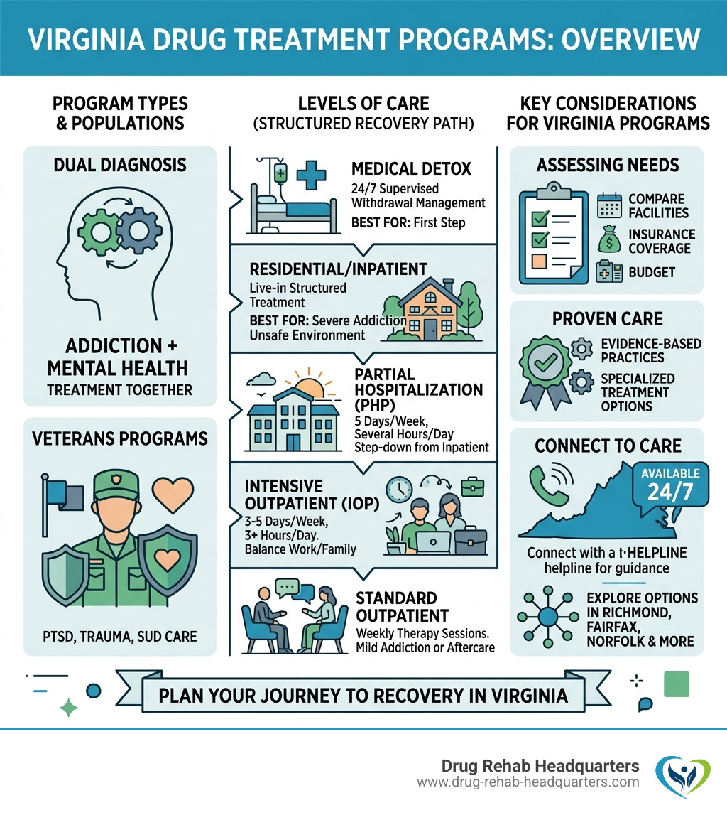 Overview infographic of Virginia drug treatment program types, levels of care, and key considerations - Virginia drug