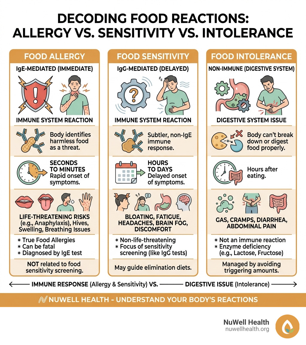 Core differences between food allergies, sensitivities, and intolerances explained - food sensitivity screening infographic 