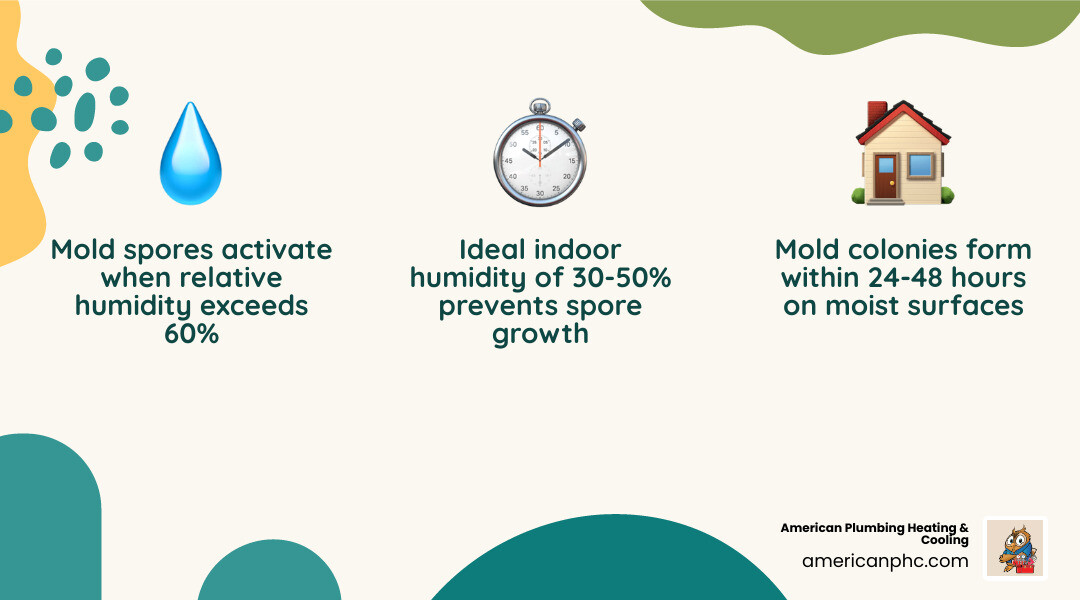 Infographic showing the mold growth cycle: humidity above 60% triggers spore activation, mold colony forms within 24-48 Infographic showing the mold growth cycle: humidity above 60% triggers spore activation, mold colony forms within 24-48