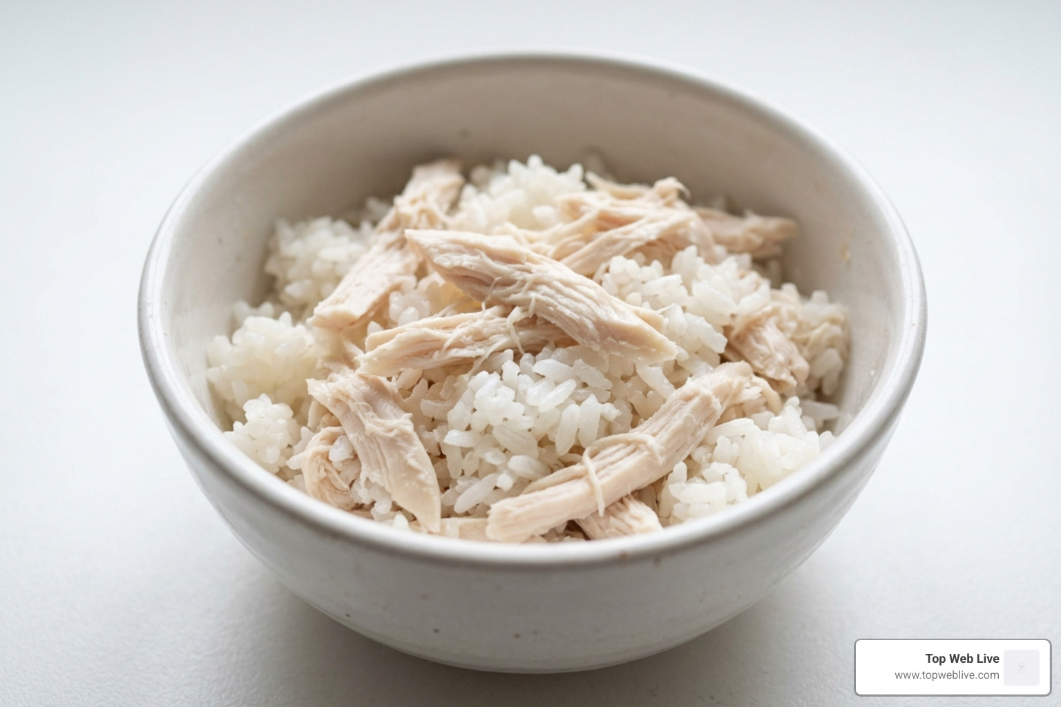 boiled chicken and white rice for cats - bland diet for cats