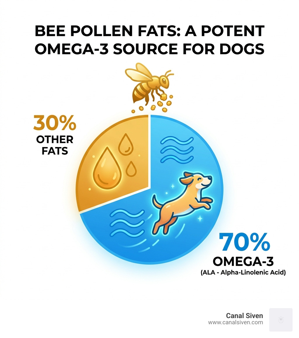 Stat showing 70% Omega-3 content in bee pollen fats - bee pollen for dogs infographic 