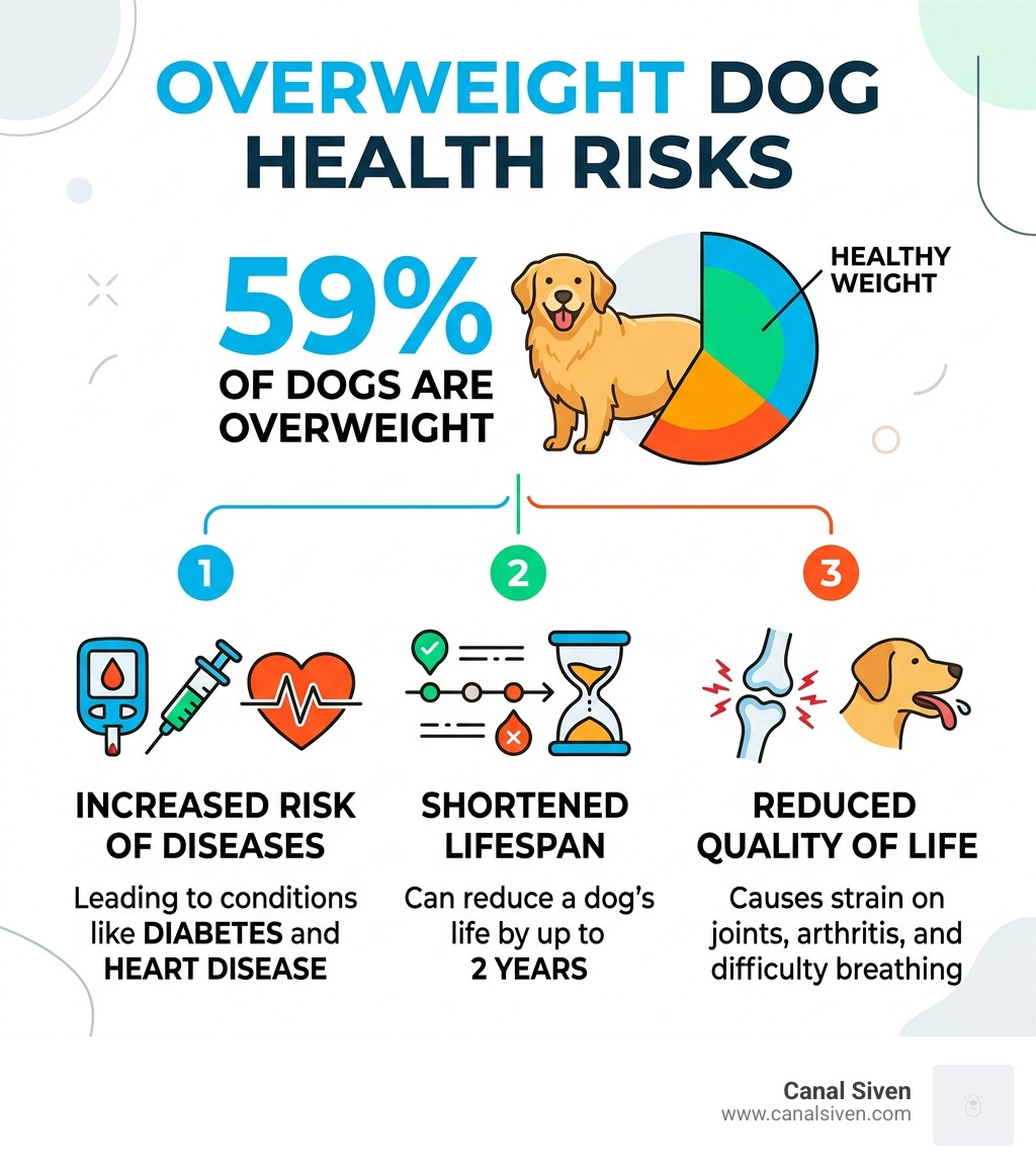 infographic: overweight dog health risks - 59% of dogs are overweight, leading to diabetes, heart disease, and a 2-year