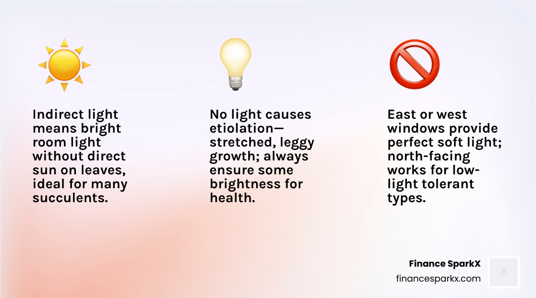 Best succulents for indirect light guide showing light levels and top varieties - succulents for indirect light infographic Best succulents for indirect light guide showing light levels and top varieties - succulents for indirect light infographic