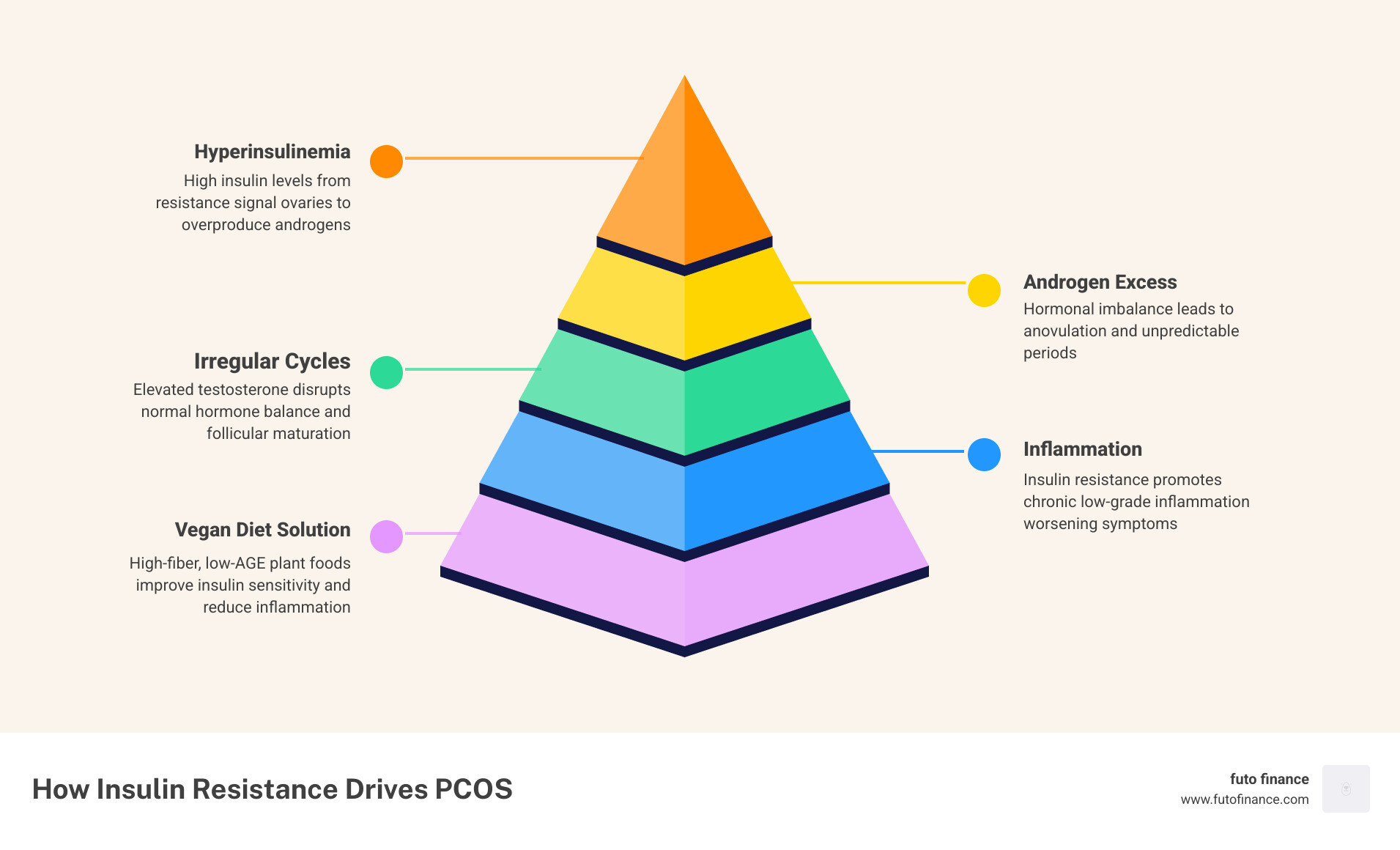 Infographic showing how insulin resistance drives androgen excess and inflammation in PCOS and how a vegan diet can help
