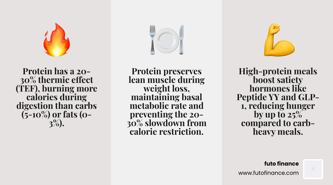 Infographic showing protein's role in hunger regulation, thermic effect of food, and top veg protein sources for weight loss