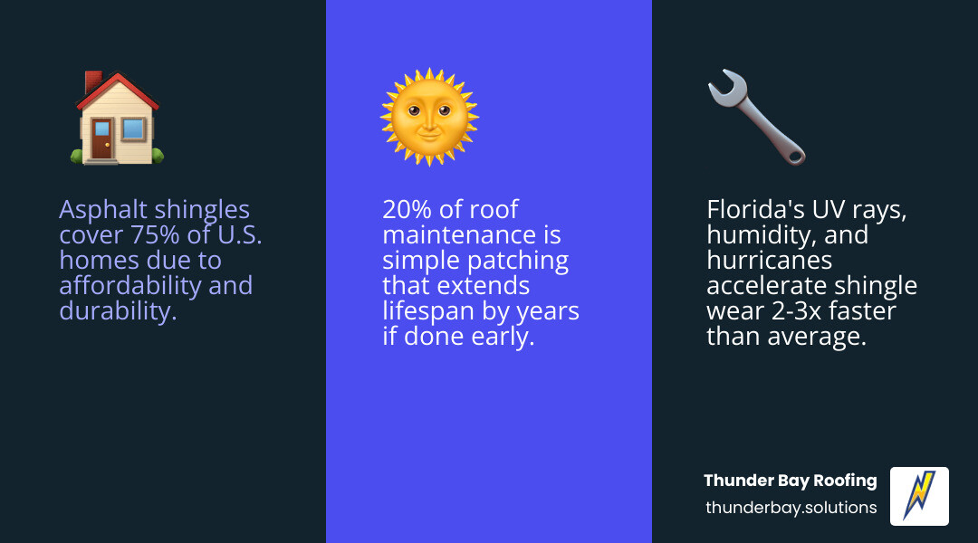 Infographic showing asphalt roof repair options by damage type, cost range, and whether DIY or professional is recommended