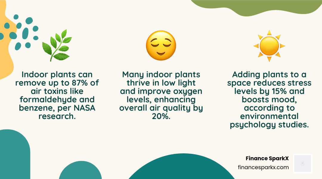 Top 10 indoor plants benefits infographic: air quality, stress relief, pet safety, light needs - indoor plants infographic