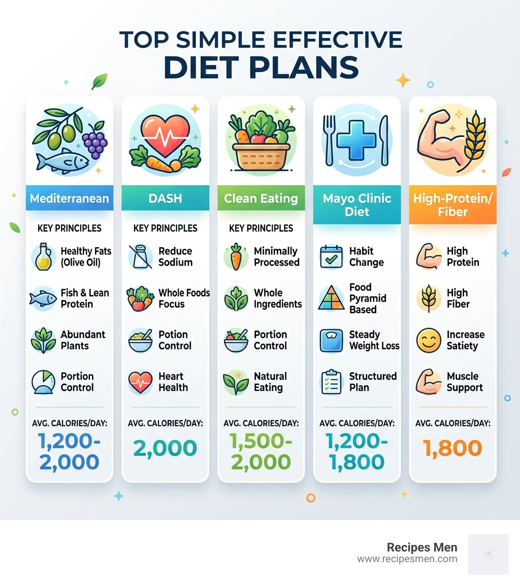 Comparison infographic of top simple effective diet plans with calorie levels and key principles - simple effective diet
