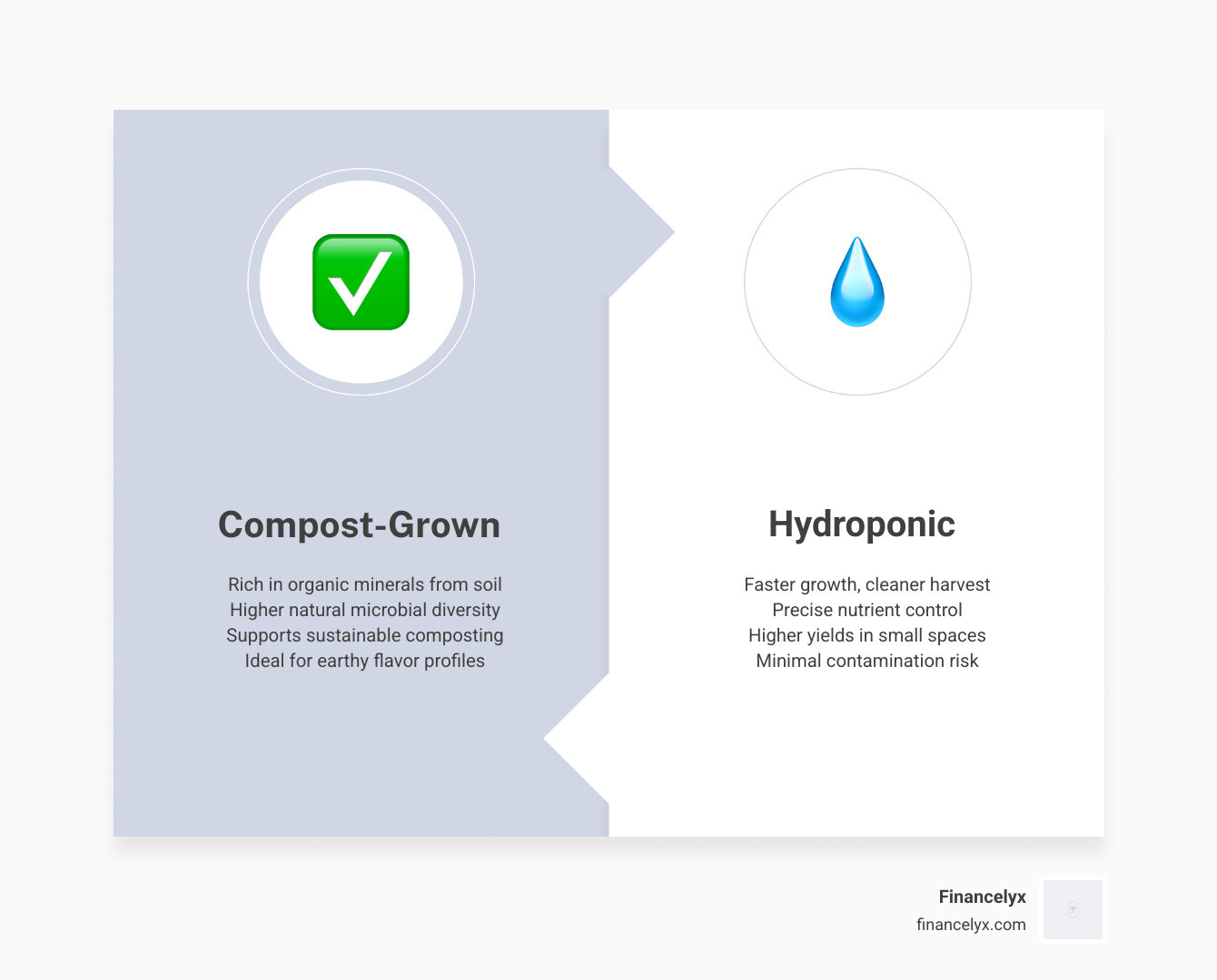 infographic comparing mineral content in compost-grown vs hydroponic microgreens - benefits of broccoli microgreens