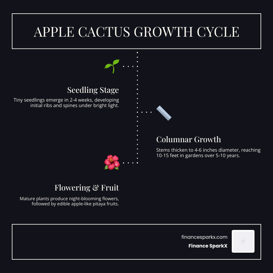 Peruvian Apple Cactus growth cycle from seedling to flowering columnar specimen - apple cactus care infographic