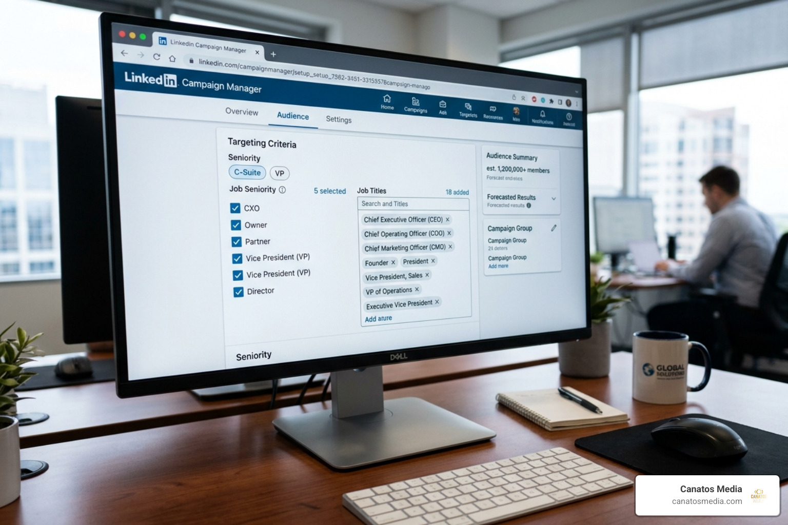 High-level executive targeting settings in LinkedIn Campaign Manager - linkedin paid advertising cost High-level executive targeting settings in LinkedIn Campaign Manager - linkedin paid advertising cost