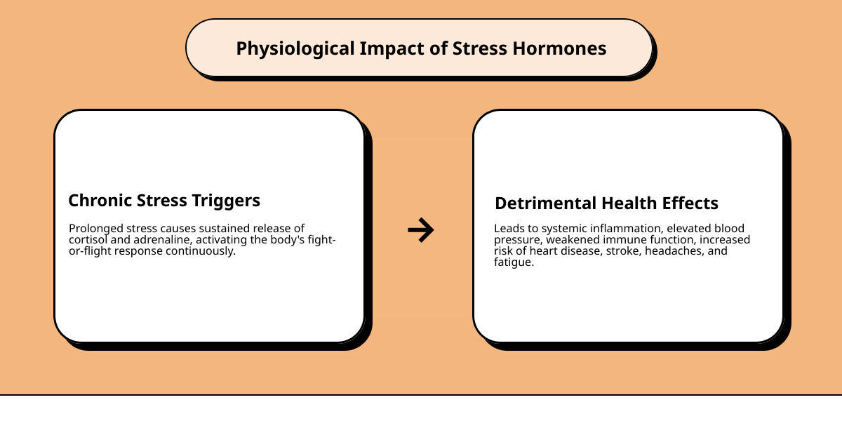 physiological impact of cortisol and adrenaline - personal wellness stress relief infographic cause_effect_text