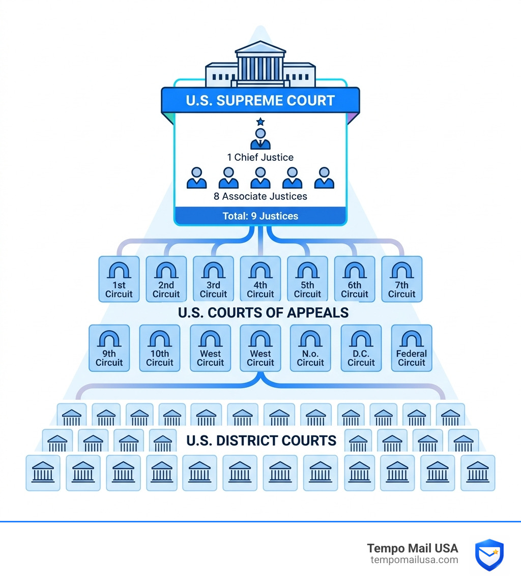 Infographic showing the hierarchy of the U.S. federal court system with SCOTUS at the top - how many justices are on the Infographic showing the hierarchy of the U.S. federal court system with SCOTUS at the top - how many justices are on the