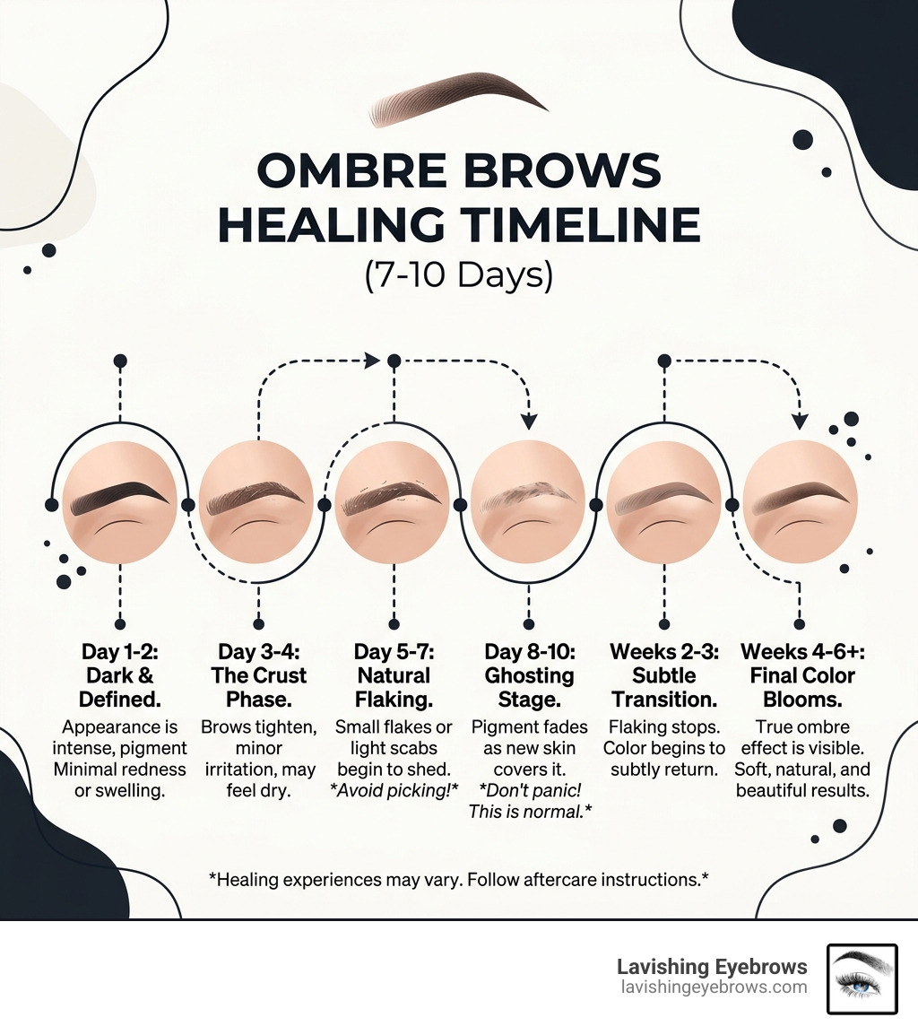 infographic showing the 7 to 10 day healing timeline: dark, flaking, ghosting, and final color - lake elsinore ombre brows
