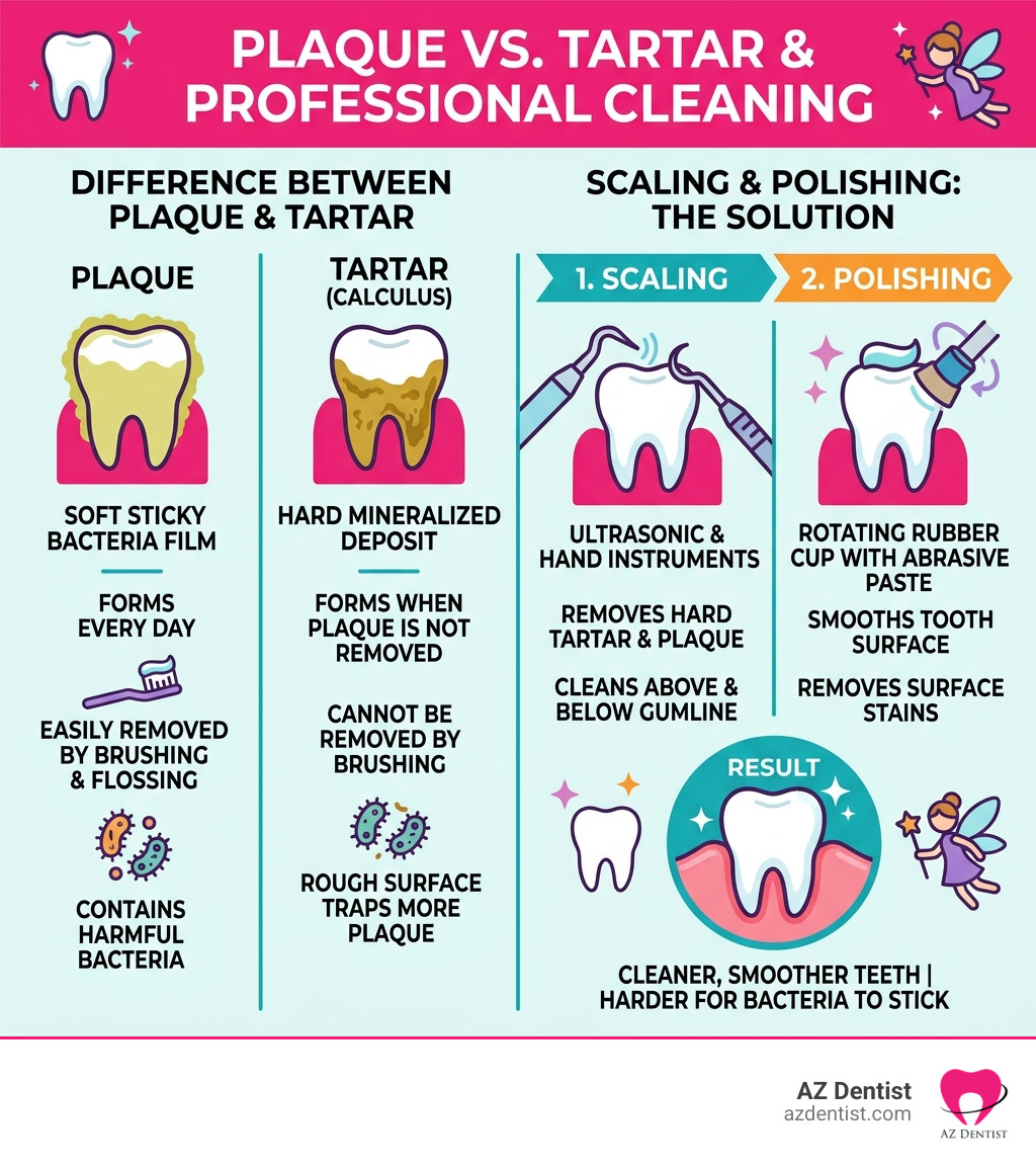 Infographic showing the difference between plaque and tartar, and how scaling and polishing addresses both - scaling and