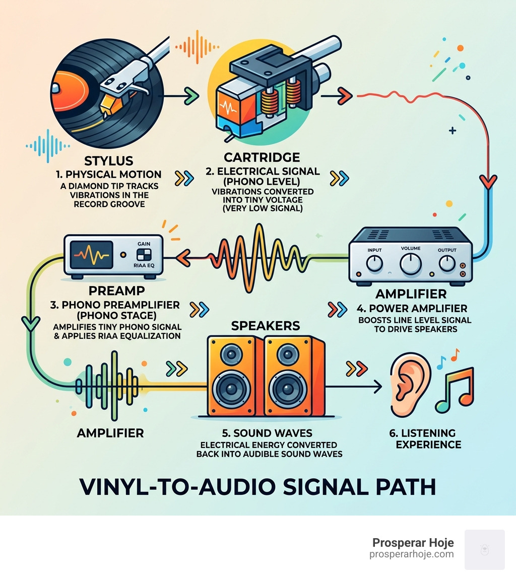 vinyl-to-audio signal path infographic showing stylus, cartridge, preamp, amplifier, and speakers - turntable infographic 