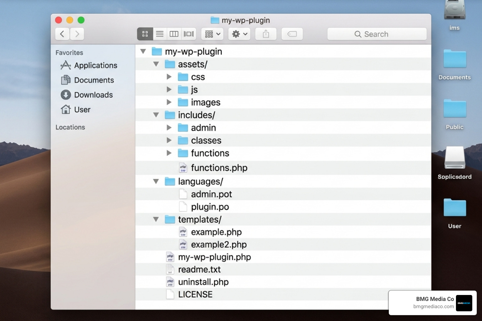 Standardized plugin folder structure diagram - WordPress custom plugin development
