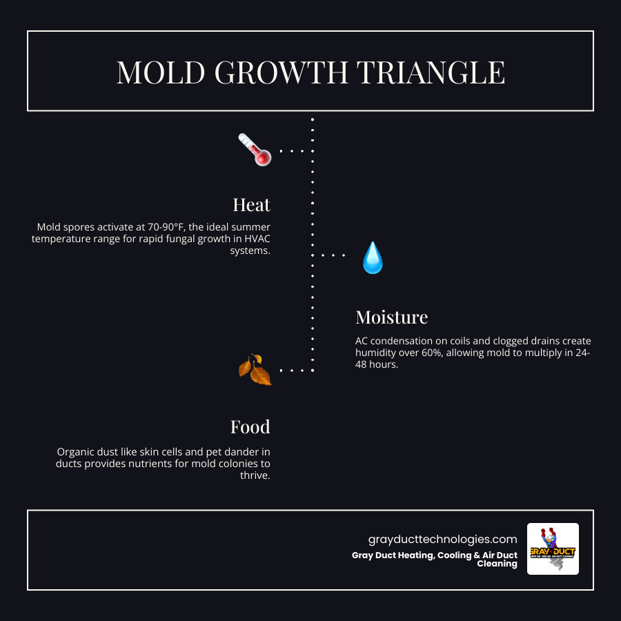 Mold Growth Triangle infographic showing Heat, Moisture, and Organic Food as the three conditions required for HVAC mold