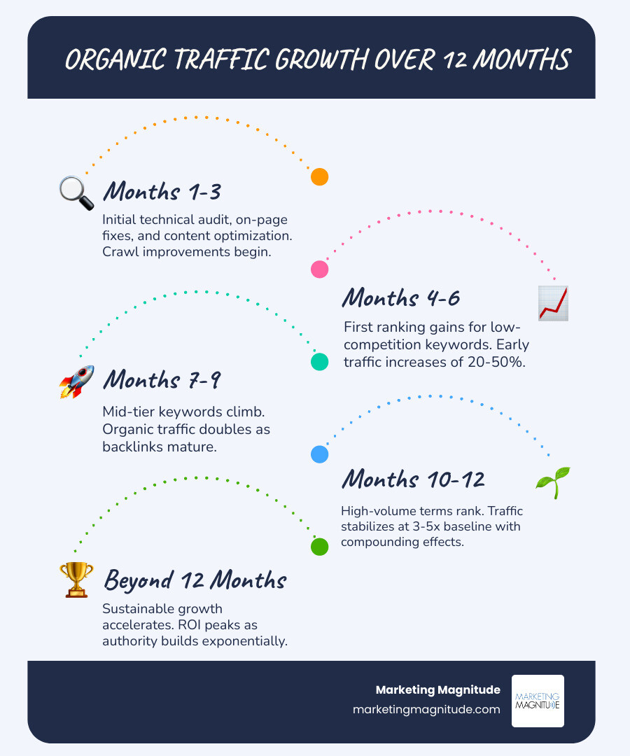 Infographic showing the growth of organic traffic over 12 months - seo optimization services cost infographic Infographic showing the growth of organic traffic over 12 months - seo optimization services cost infographic