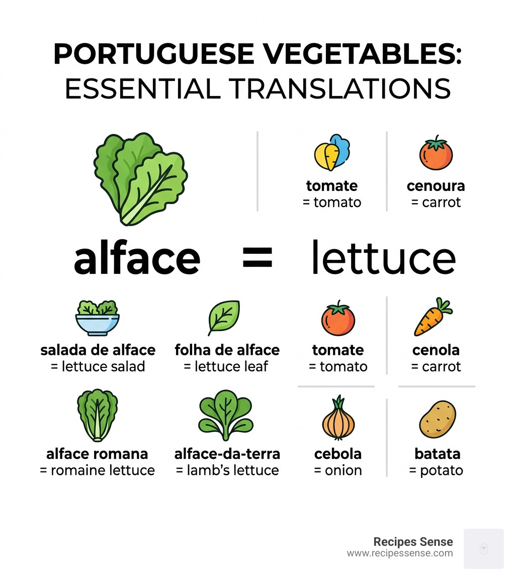 Infographic showing Portuguese vegetable nouns translated to English including alface equals lettuce - alface in english