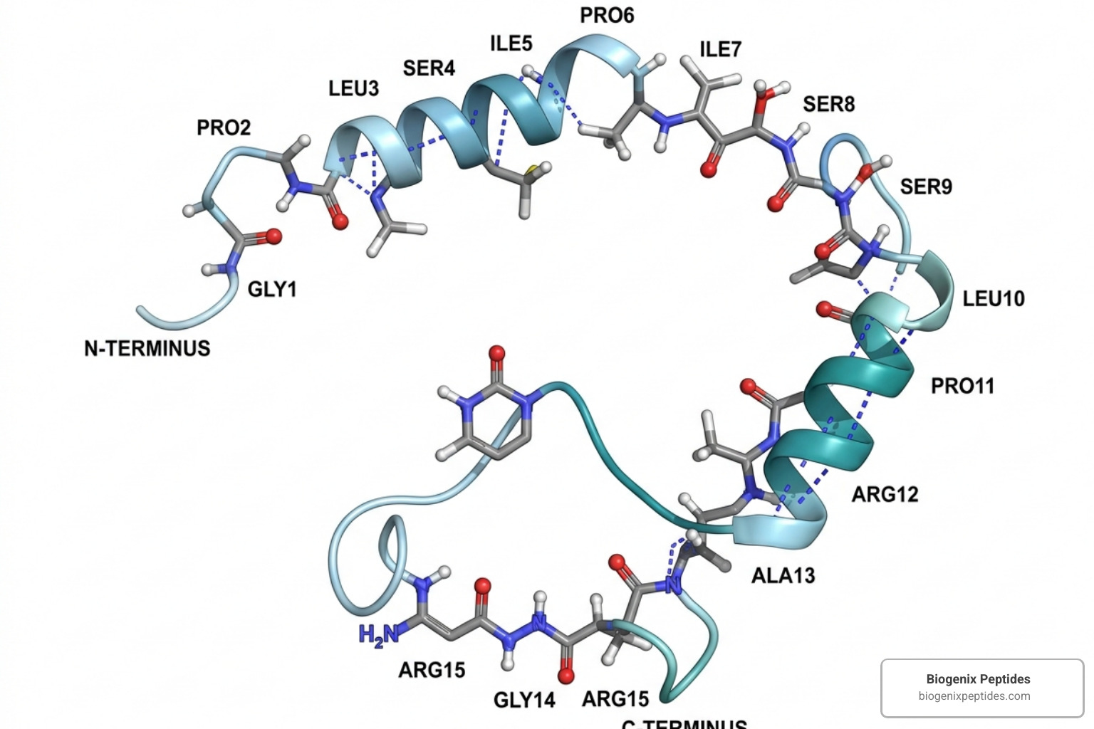Molecular structure of the BPC-157 peptide chain - reconstitute 5mg bpc 157