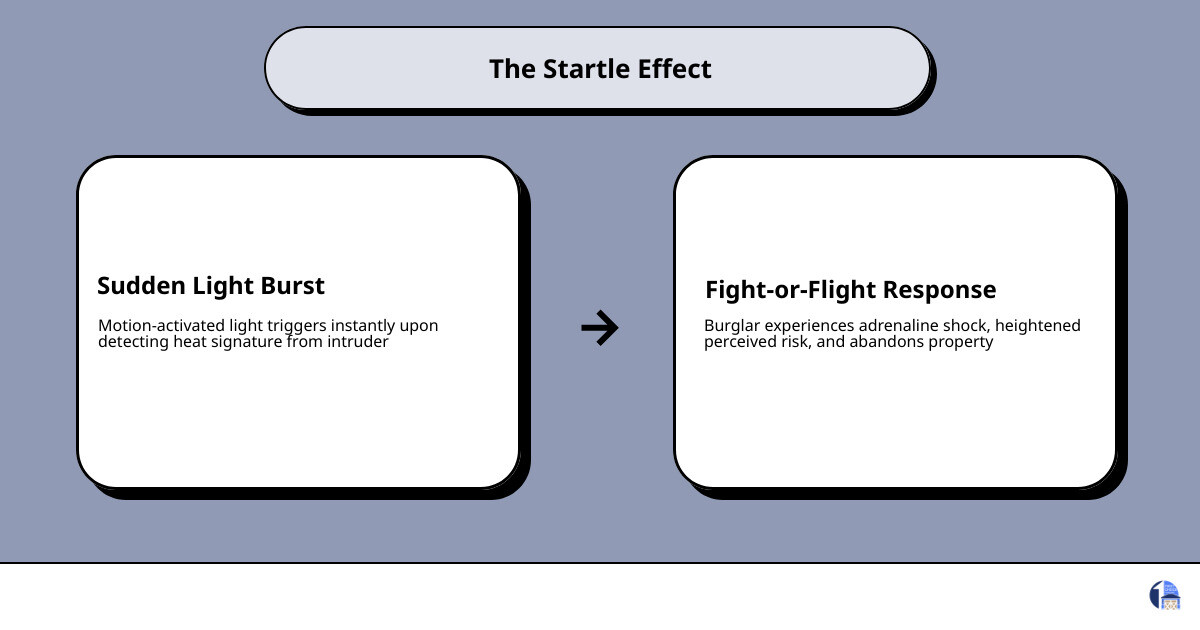 Infographic: The Startle Effect - how sudden light triggers fight-or-flight in intruders and raises perceived risk - how Infographic: The Startle Effect - how sudden light triggers fight-or-flight in intruders and raises perceived risk - how
