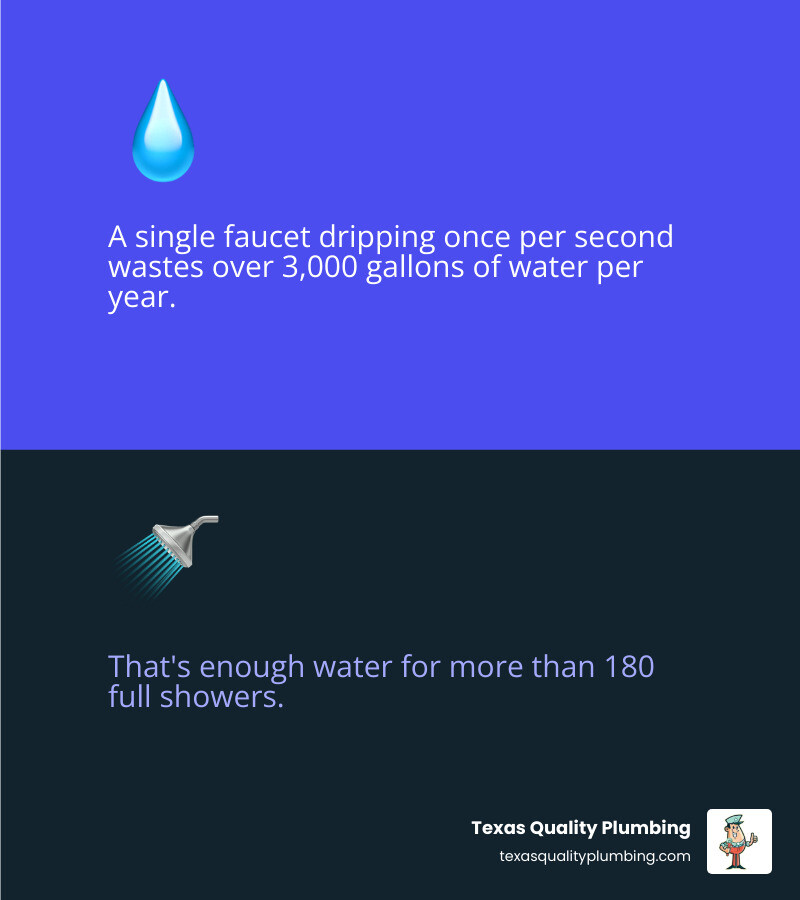 Infographic: 1 drip per second = 3,000 gallons wasted per year = 180+ showers; top causes of faucet drips - why your faucet Infographic: 1 drip per second = 3,000 gallons wasted per year = 180+ showers; top causes of faucet drips - why your faucet
