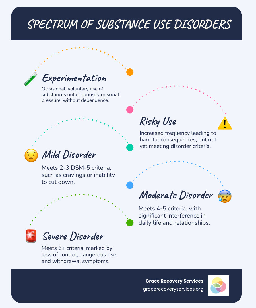 Infographic showing the spectrum of substance use disorders from experimentation to mild, moderate, and severe disorder with