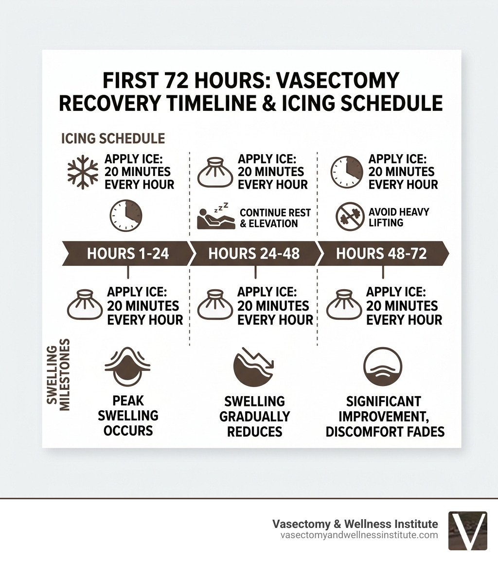Infographic showing the first 72-hour vasectomy recovery timeline with icing schedule and swelling milestones - best ice