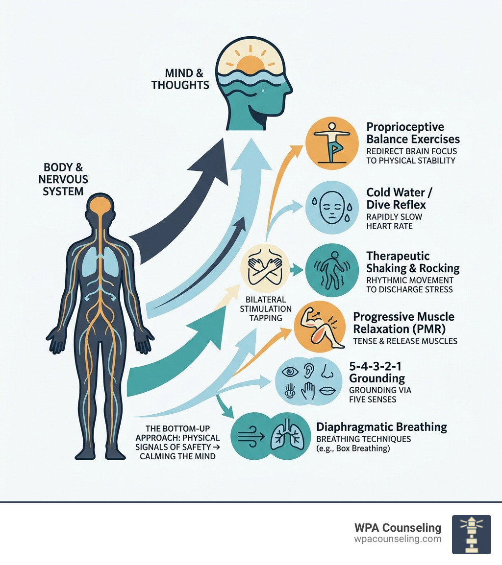 Infographic showing the bottom-up approach to anxiety relief through somatic techniques infographic Infographic showing the bottom-up approach to anxiety relief through somatic techniques infographic