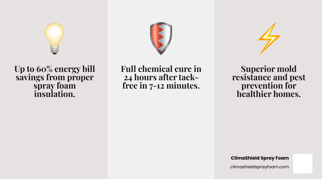 Infographic showing energy savings and home comfort benefits of spray foam infographic Infographic showing energy savings and home comfort benefits of spray foam infographic