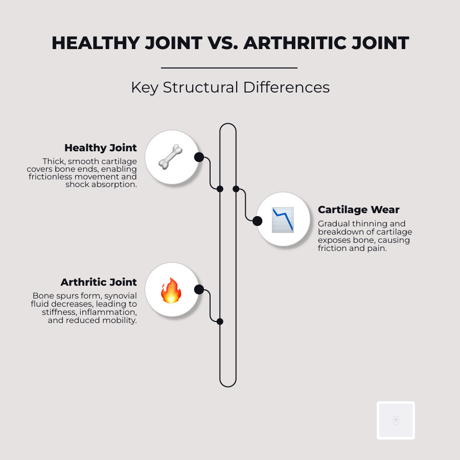 anatomy of a healthy vs. arthritic joint infographic