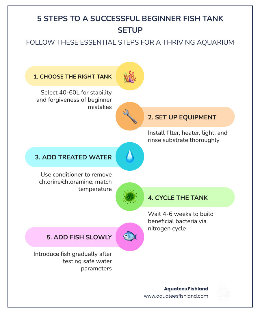 5 steps to a successful beginner fish tank setup infographic infographic