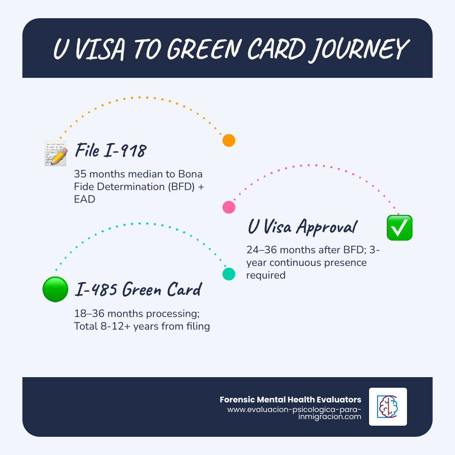Timeline infographic showing 8-12 year U visa to green card journey with key stages and wait times infographic