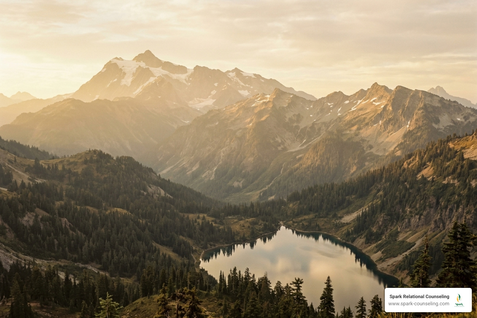 muted yellow landscape of the Pacific Northwest mountains